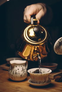 健康之道，探索养生餐饮品牌