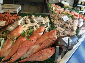 蓝海之鱼，中端餐饮品牌的崛起与策略