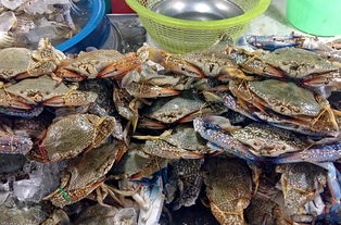 打造美食天堂，共享成功喜悦——全球加盟招商盛宴即将启幕