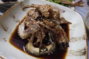探寻潮汕美食，尽享正宗美味——加盟潮汕正宗餐饮品牌，开启致富之路