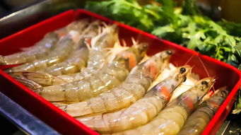 常德虾点餐饮品牌，美味与健康并行的餐饮新风尚